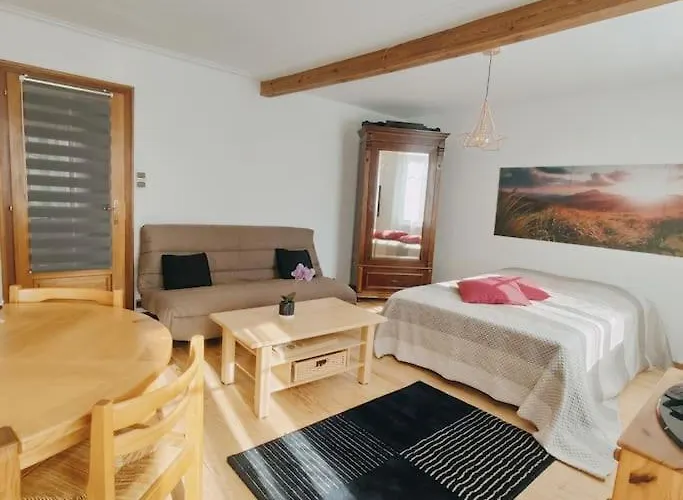 Maison A 6Km De Strasbourg, A 2H De Paris En Tgv
