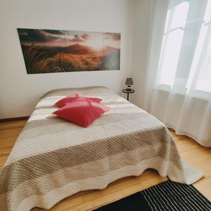 Maison A 6km De Strasbourg, A 2h De Paris En Tgv
